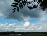 Nederland - ZOMER m…