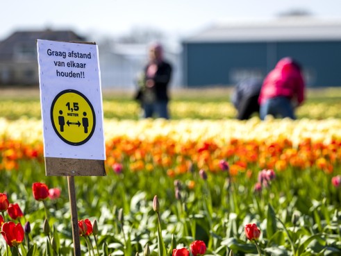 BOLLENSTREEK+afgesl…