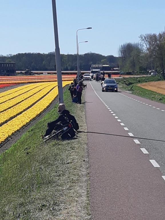 BOLLENSTREEK+afgesl…